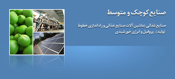 صنایع کوچک و متوسط؛ صنایع غذائی (ماشین آلات صنایع غذائی و راه اندازی خطوط تولید)، پروفیل و انرژی خورشیدی